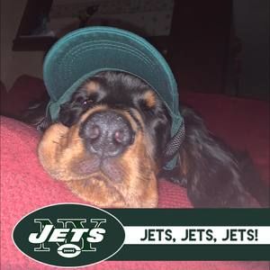 Meet your Posher, Nichole